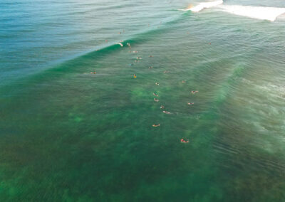 surfing in torquay