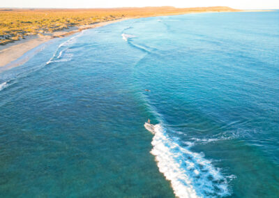 Surfing in Exmouth